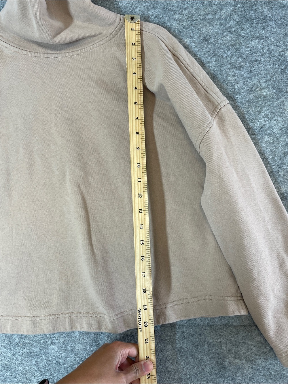 Everlane Organic Cotton Mock Neck Sweatshirt Small Minimalist Quiet Luxury - Picture 6 of 12